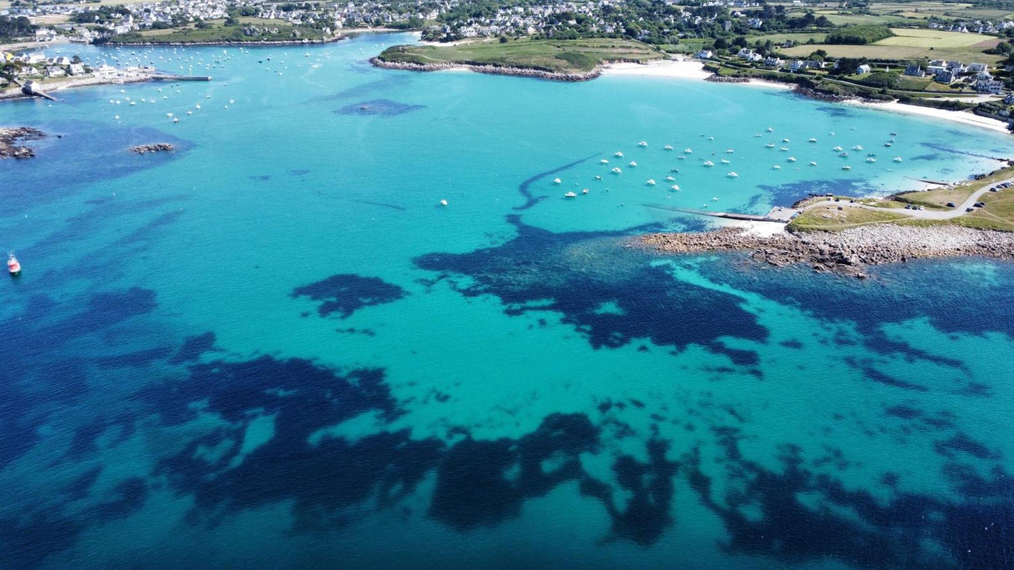 Roscaroc Enez Hir - Charmant T4 Proche Plage Ploudalmézeau Exterior foto